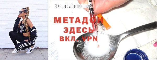 гидра Няндома