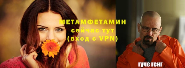 гидра Няндома