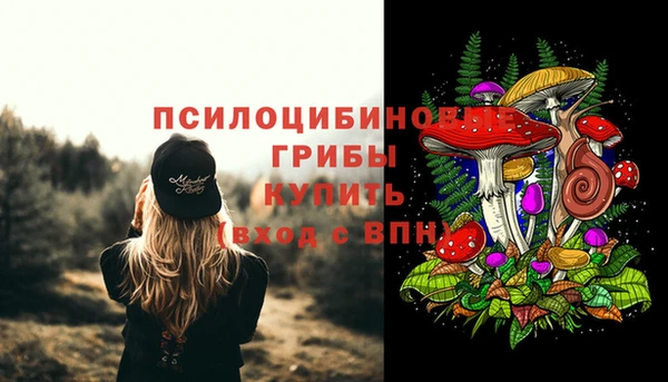 гидра Няндома