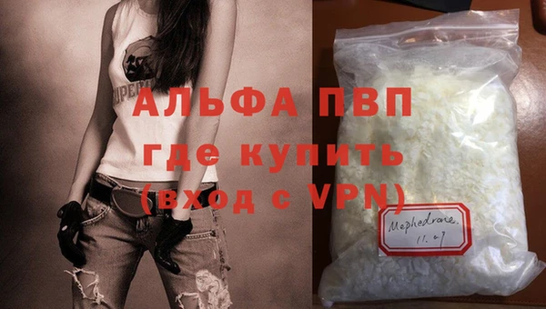 гидра Няндома