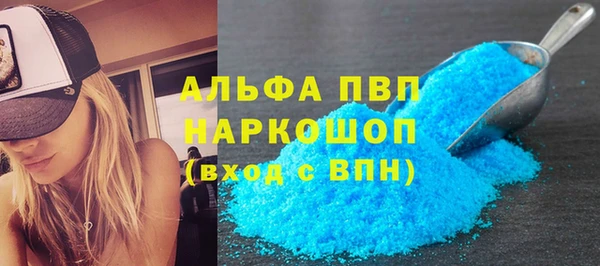 гидра Няндома