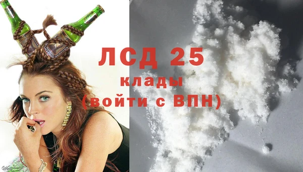 гидра Няндома