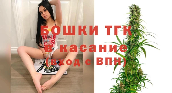 гидра Няндома