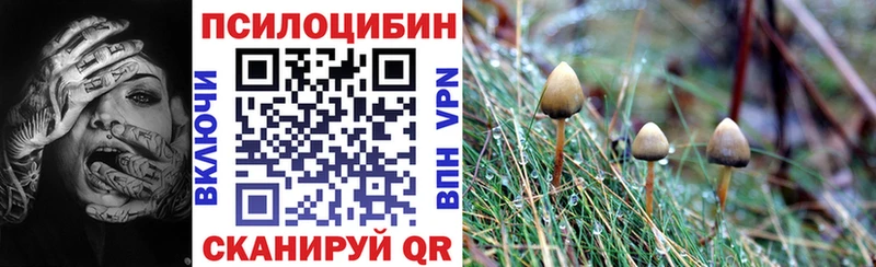 мега как войти  Петровск-Забайкальский  Галлюциногенные грибы GOLDEN TEACHER  купить наркотик 